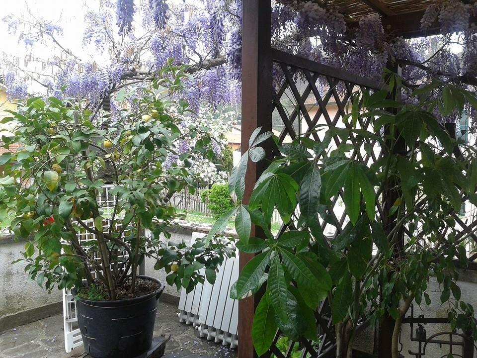 Il Ghiro B&B Ricco del Golfo di Spezia Bagian luar foto