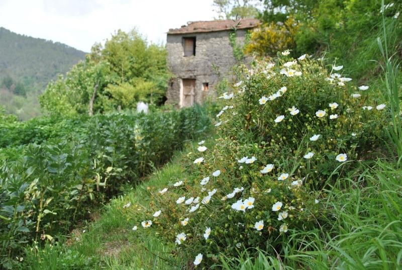 Il Ghiro B&B Ricco del Golfo di Spezia Bagian luar foto