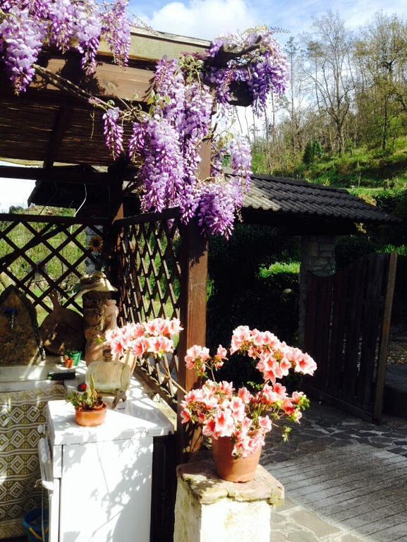 Il Ghiro B&B Ricco del Golfo di Spezia Bagian luar foto