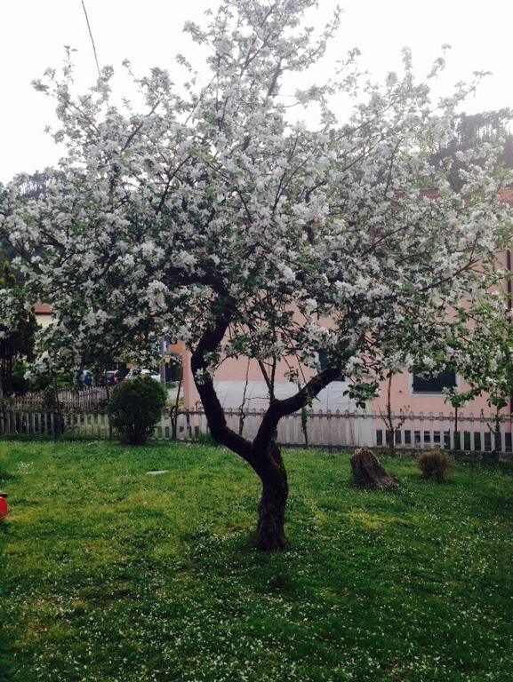 Il Ghiro B&B Ricco del Golfo di Spezia Bagian luar foto