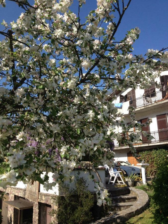 Il Ghiro B&B Ricco del Golfo di Spezia Bagian luar foto