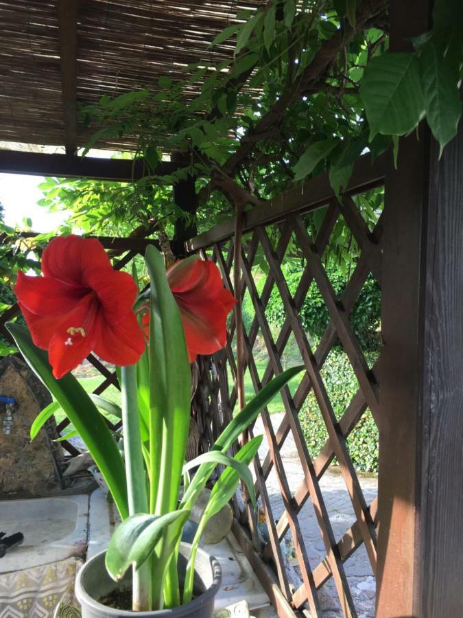 Il Ghiro B&B Ricco del Golfo di Spezia Bagian luar foto