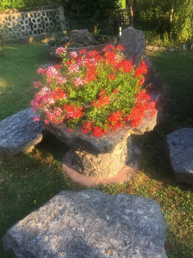 Il Ghiro B&B Ricco del Golfo di Spezia Bagian luar foto